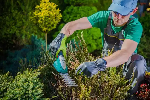 landscaping services La Monte